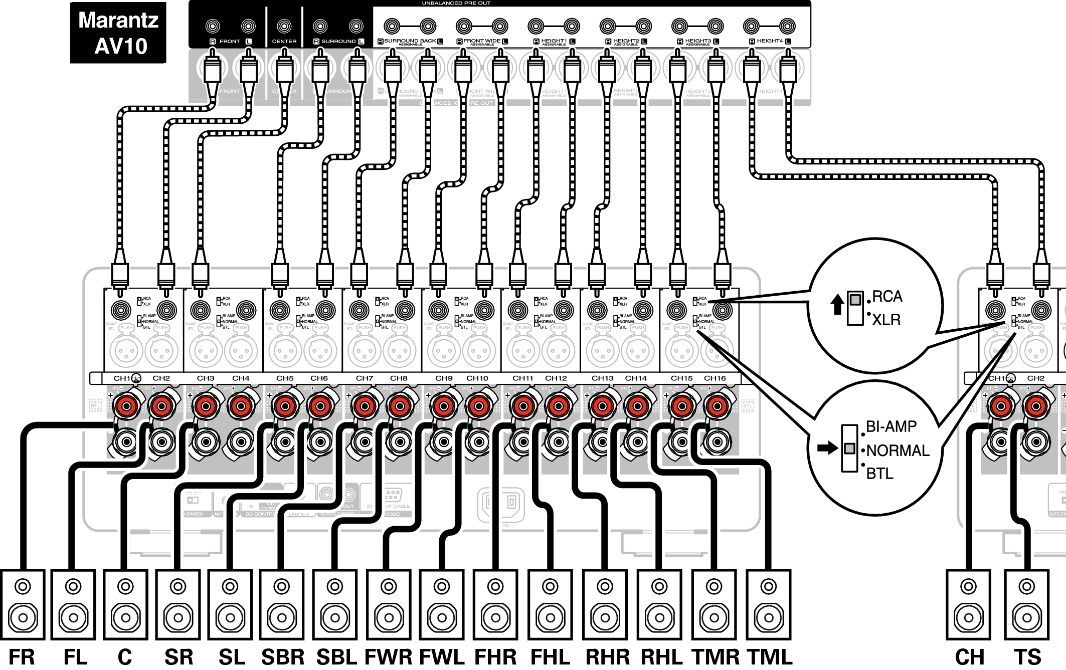 Conne SP Unbalanced AMP10